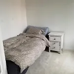 Comfort & Calm